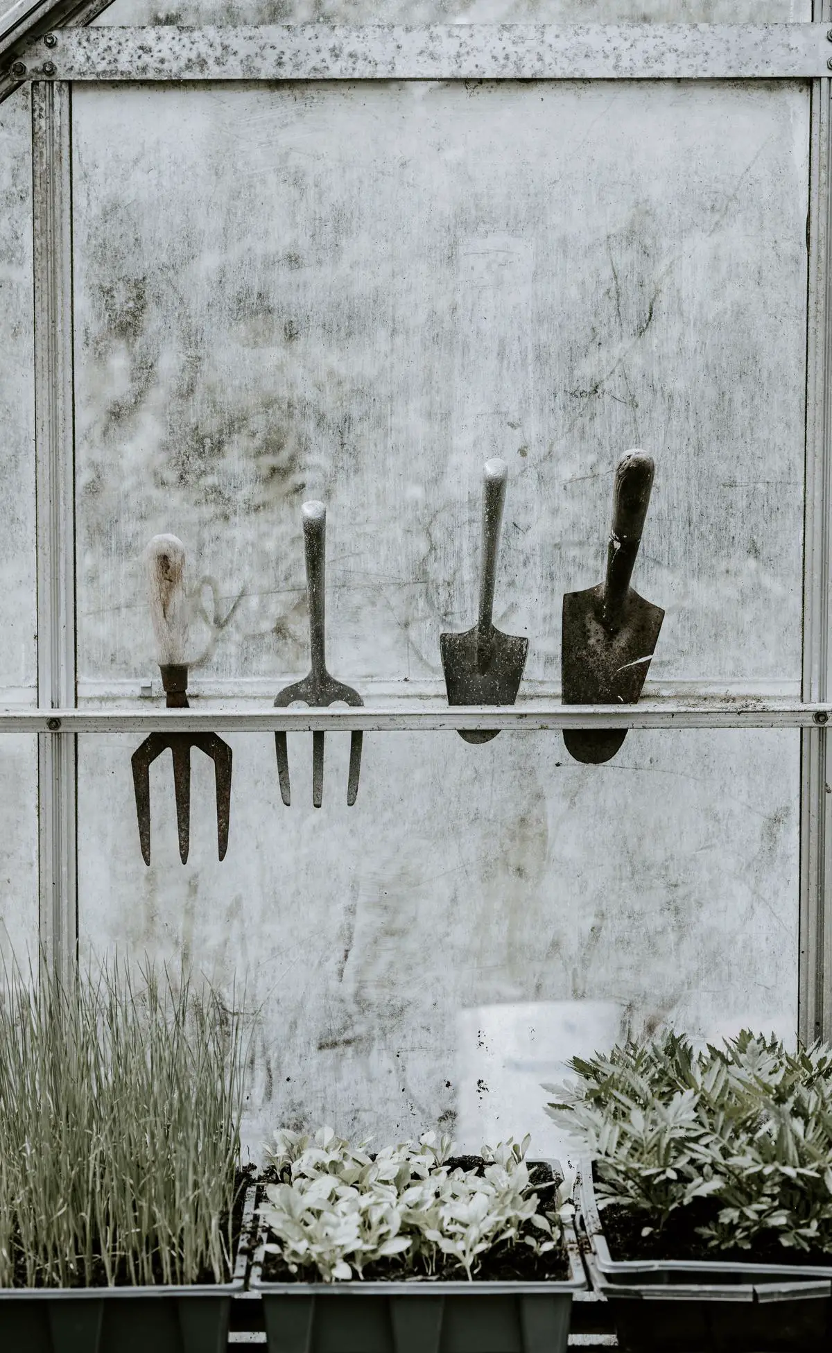 Image depicting a variety of IKEA gardening tools, including pruners, loppers, trowels, and a watering can.