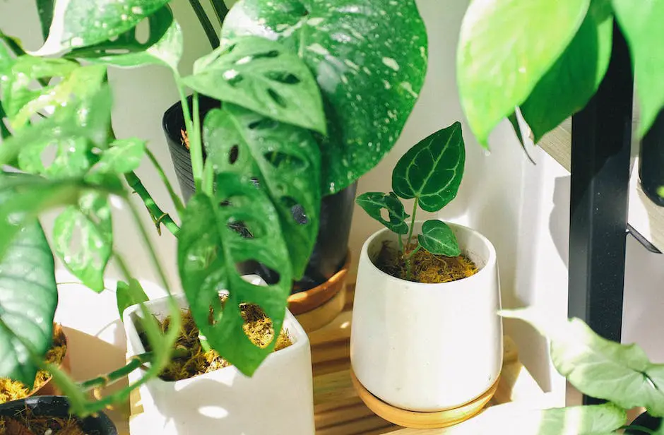 A diverse collection of healthy and vibrant IKEA plants showcased in a well-lit indoor setting